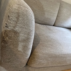 ニトリ ソファの画像