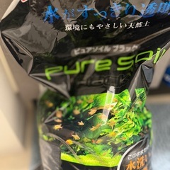 🐠水槽一式差し上げます（魚・エビ付き）の画像