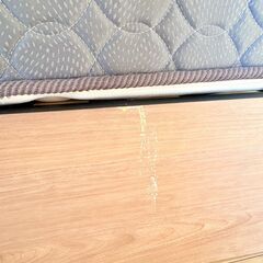 フランスベッド マットレスセット（ワイドダブルサイズ）の画像