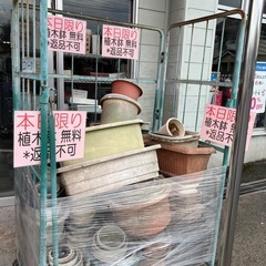 ダイアナ　パンプスの画像