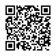 【初回体験★無料】手ぶらでお琴教室～付属品もすべてレンタル～の画像