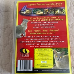 🐈猫ちゃん用DVD🐈‍⬛の画像