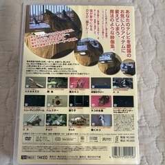 🐈猫ちゃん用DVD🐈‍⬛の画像