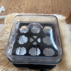 取引者決定　Russell Hobbs スチーマー　蒸し器の画像