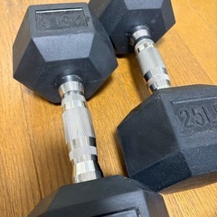 ダンベル25LB（11.3kg）の画像