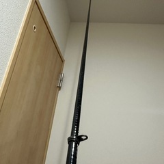 ダイワ飛竜　DIRECT POWER 1-53 DAIWAの画像