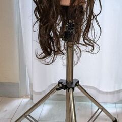 カットウィッグとスタンドの画像