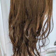 カットウィッグとスタンドの画像