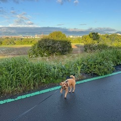 ドッグラン友達募集🐕情報交換など色々🐶