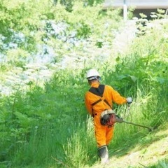 11月下関草刈り、草集め20.21.25.26.27日