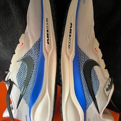 Nike zoom Pegasus 41の画像