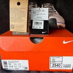 Nike zoom Pegasus 41の画像