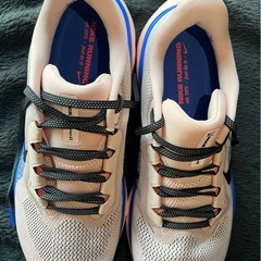 Nike zoom Pegasus 41の画像