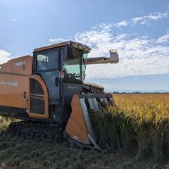 29◆最新式 光選別機導入◆ 新米 R7 彩のかがやき ◆令和7年度産 / 2025 お米 30キロ 埼玉県産の画像