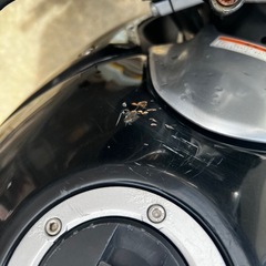 GSR250GSR250 の画像