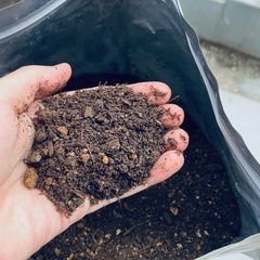 🪴花や野菜の栽培セット(プランター＆培養土＋おまけの底石)の画像