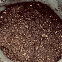 🪴花や野菜の栽培セット(プランター＆培養土＋おまけの底石)の画像