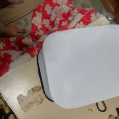 新品同様 チャック付きバッカンの画像