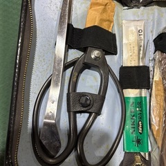 盆栽セット
の画像