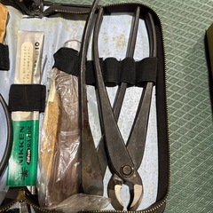 盆栽セット
の画像