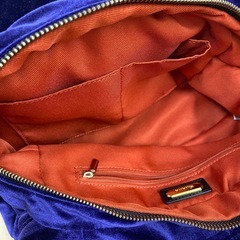 Diana 2wayバッグの画像