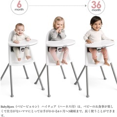 【廃盤】BabyBjörn ベビービョルン　ハイチェアの画像