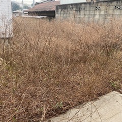 お庭・駐車場・空地の草掃除のおまかせ☺️
