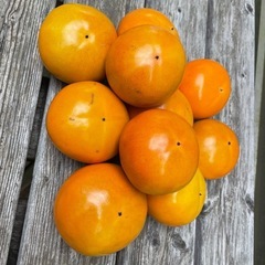 ★無農薬の柿 ★１０個★の画像