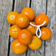 ★無農薬の柿 ★１０個★の画像