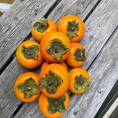 ★無農薬の柿 ★１０個★の画像