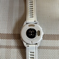 Garmin FORRUNNER165 MUSICの画像