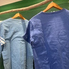 championアメカジの画像