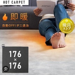 ホットカーペット　2畳用の画像