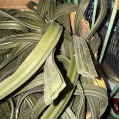 ビニール製の巻物多数の画像