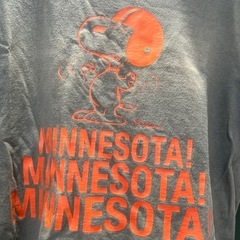 championアメカジTの画像