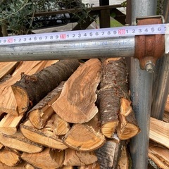 薪　桜等の画像