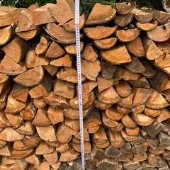 薪　桜等の画像