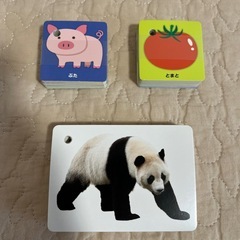 100円ショップの知育カード色々の画像