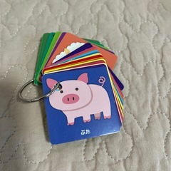 100円ショップの知育カード色々の画像