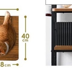 キャットタワー
 の画像