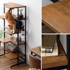 キャットタワー
 の画像