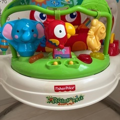 レインフォレスト　ジャンパルーの画像