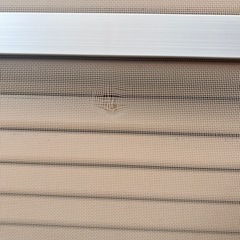 #セットで🉐#値下げ！❗️市営、県営などの規格サイズ網戸#の画像