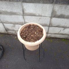 プランターの脚の画像