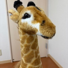 キリン🦒乗れるぬいぐるみ
の画像