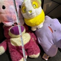 ぬいぐるみ ロッツォ メタモン ワンパチ めんだこメンダコの画像