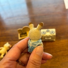 🐰シルバニアファミリー🐱🏠の画像