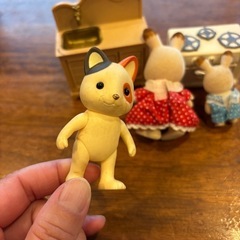 🐰シルバニアファミリー🐱🏠の画像