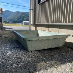 プラ舟　の画像