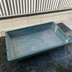 プラ舟　の画像